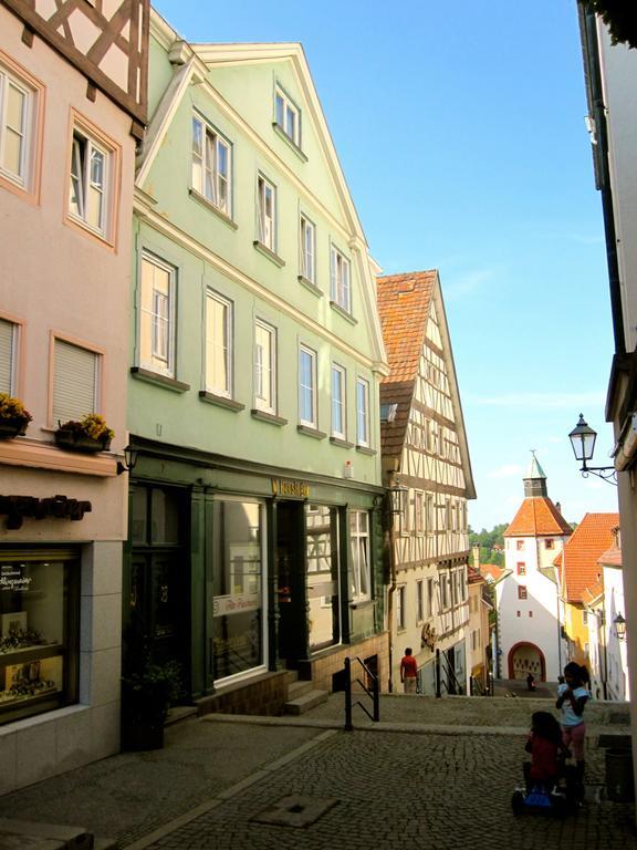 Ferienwohnung Am Ziegelbach Hechingen Εξωτερικό φωτογραφία