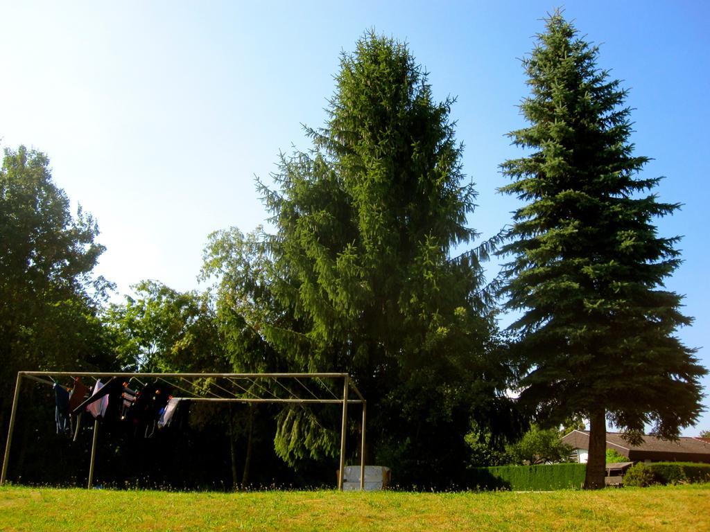 Ferienwohnung Am Ziegelbach Hechingen Εξωτερικό φωτογραφία